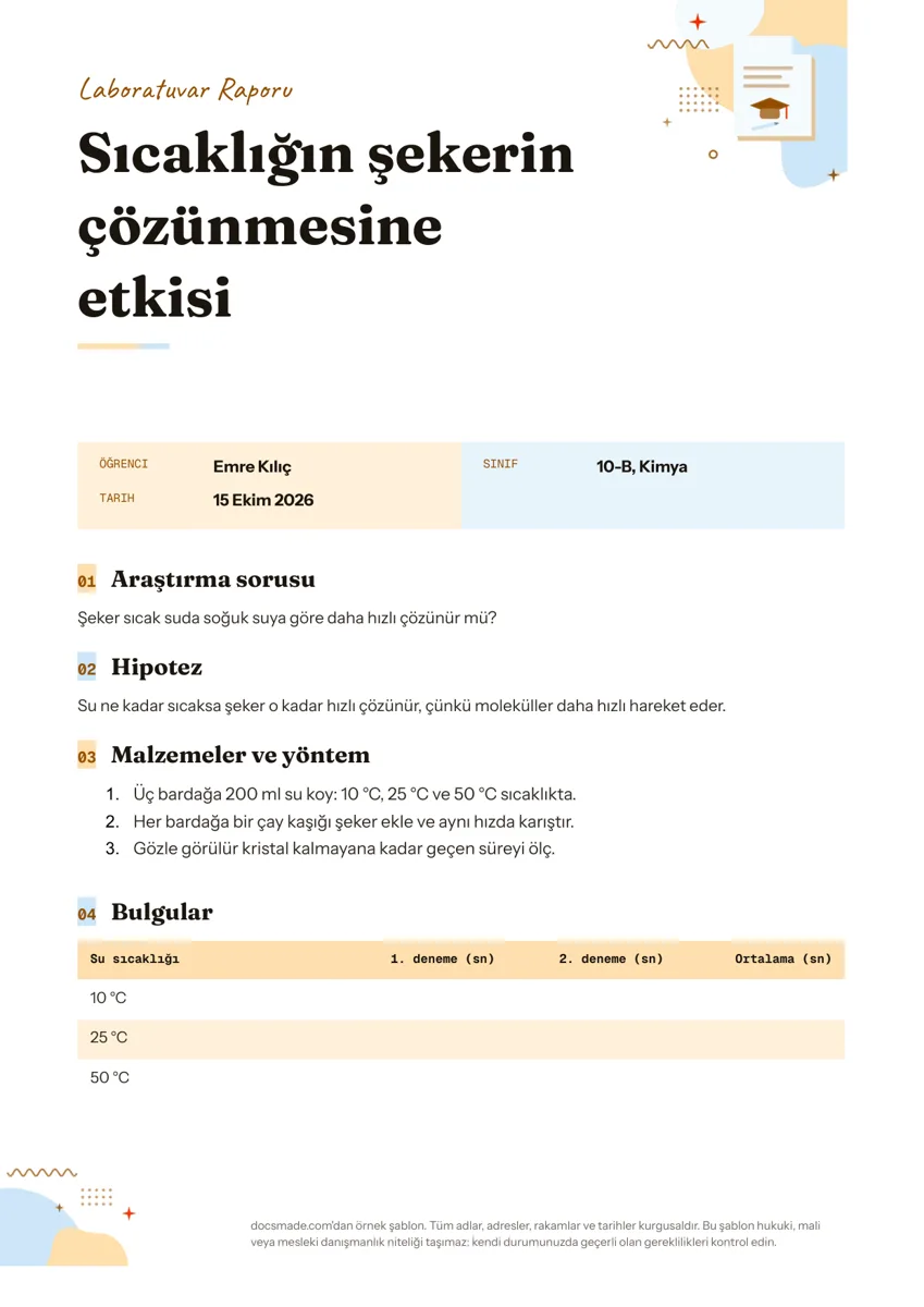 Google Dokümanlar deney raporu örneği, ilk sayfa